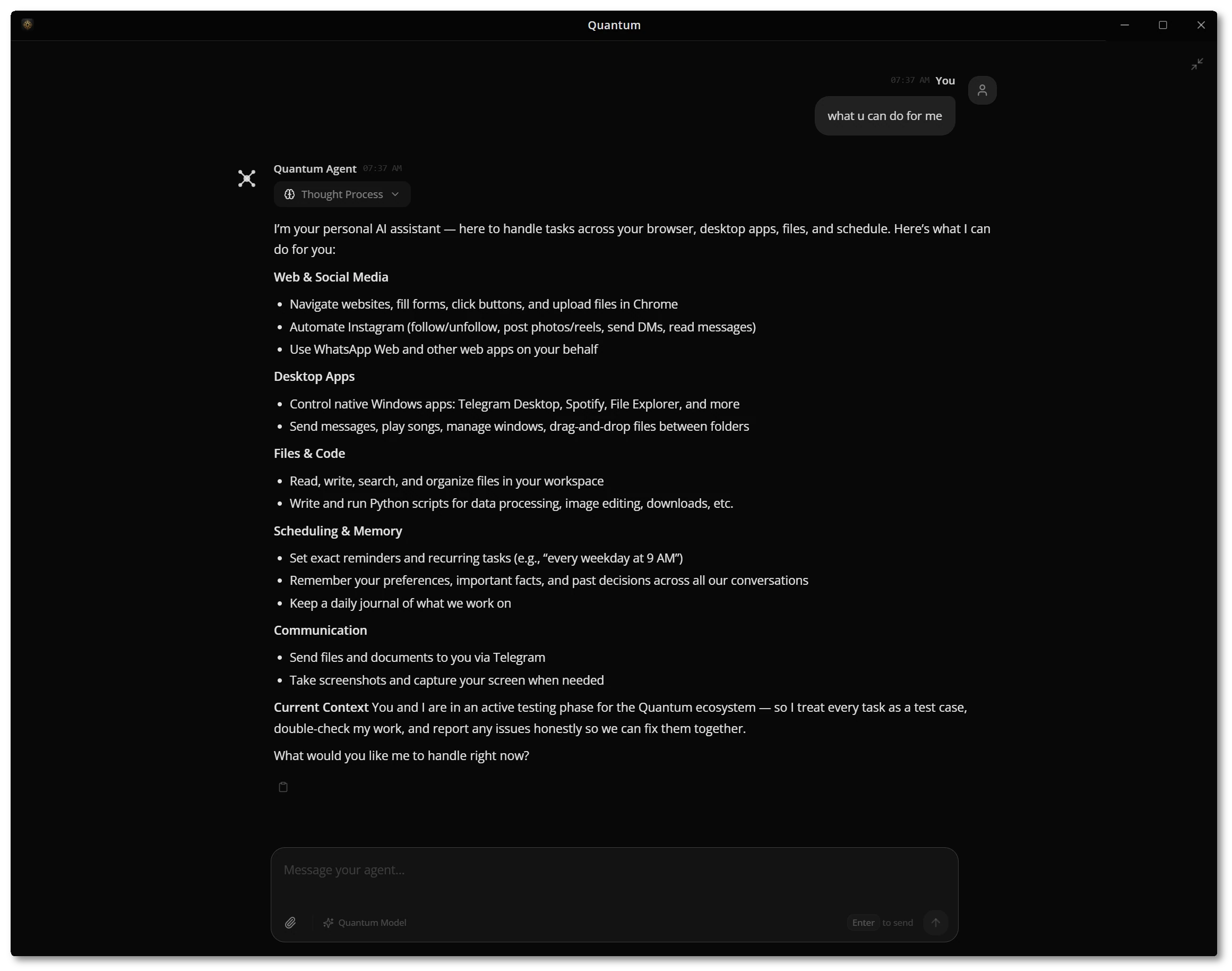 Agent explaining its full capabilities